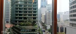 PLUS (D1), Office #613733141
